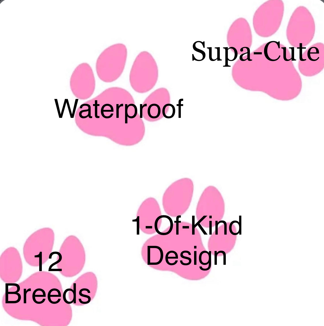 Clear Poop Bag Holder With Key Ring & Clip