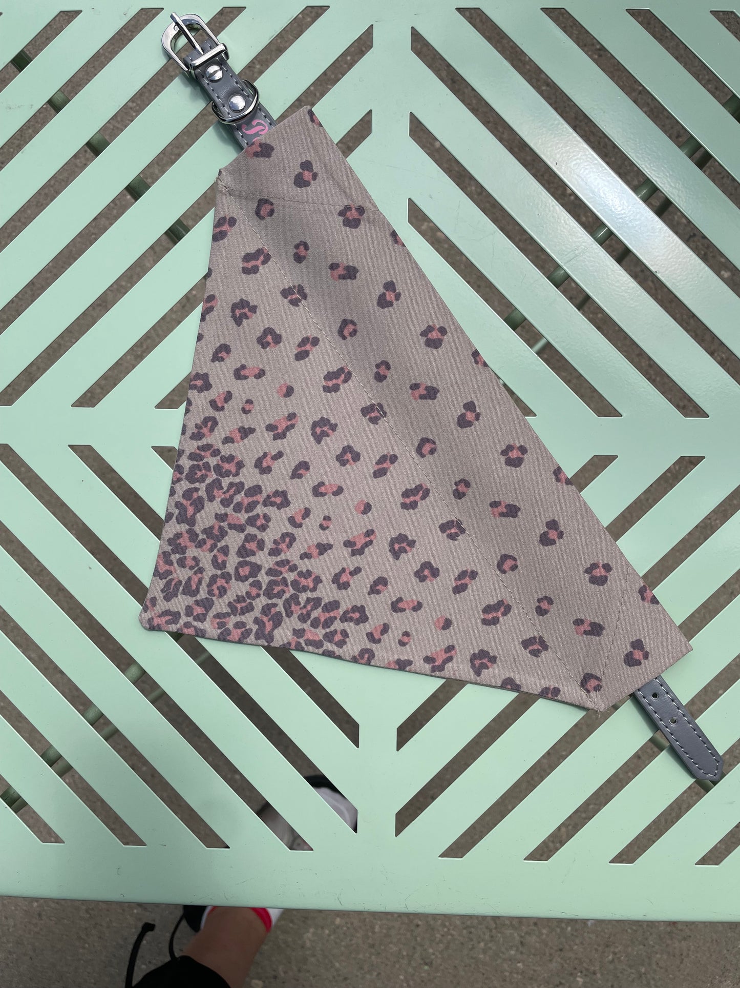 H🐾wdy Y’All Reversible Dog Bandana