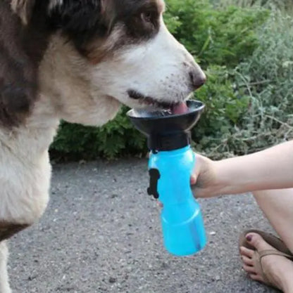 Portable Water Bottle For Dogs
