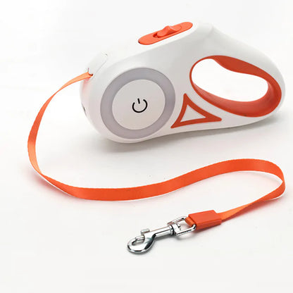 Led Lights Dog Leash - It's Pawbulous
