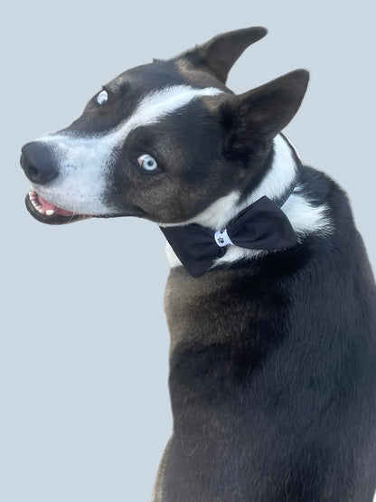 Luxe Paw Bow Tie - Black Tie Ready