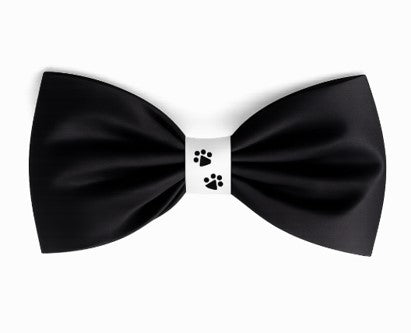 Fancy Dog Bow Tie - Black Tie Ready