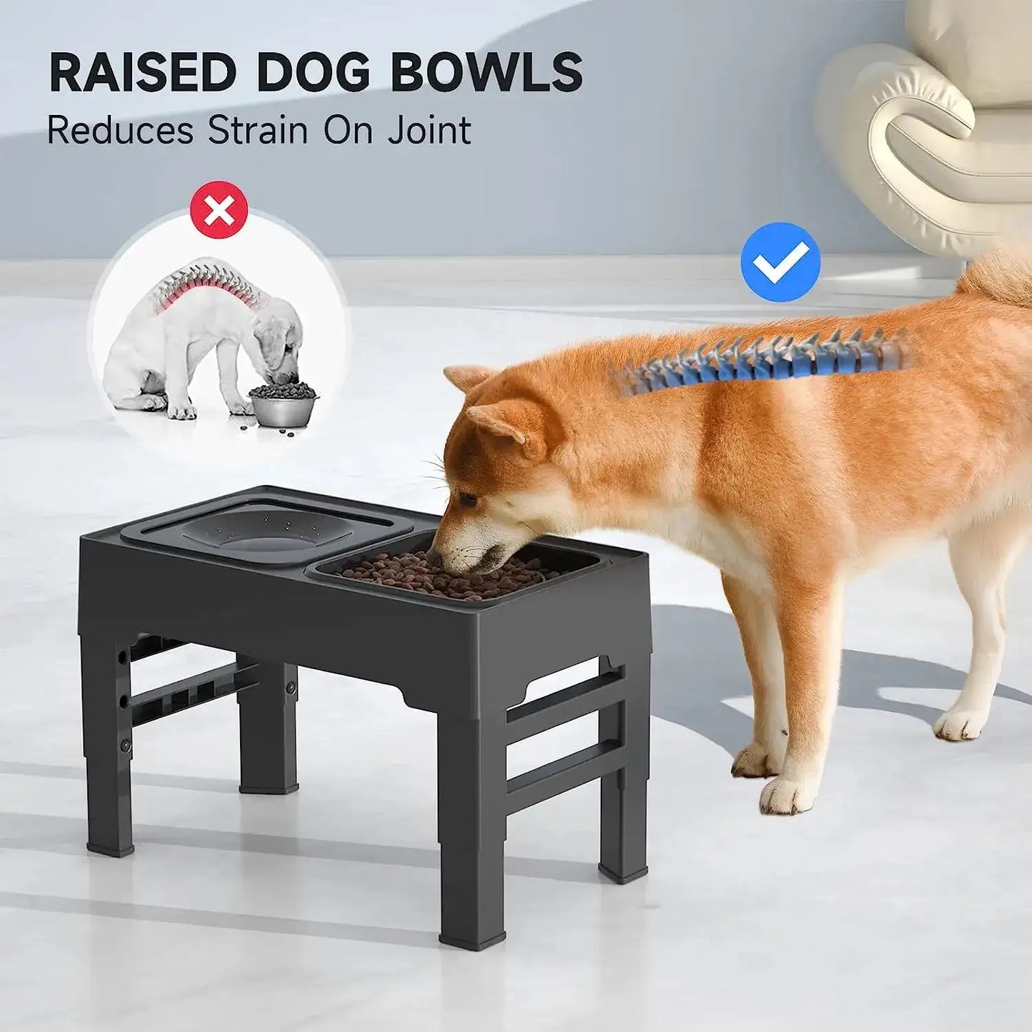 Adjustable Food and Water Bowl Collection