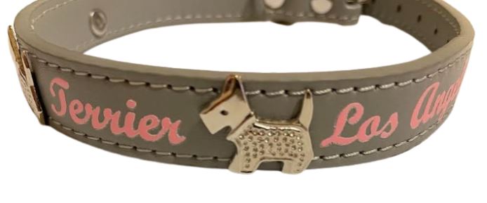 SCOTTISH TERRIER GREY COLLAR