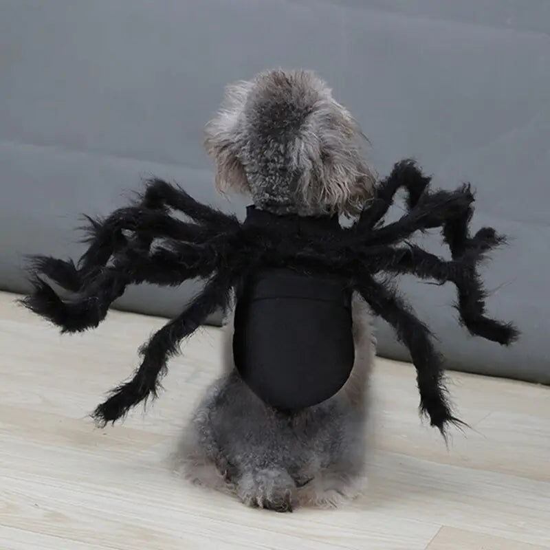 Spider Costume for Dogs - Boo!