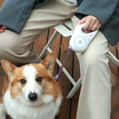 Led Lights Dog Leash - It's Pawbulous