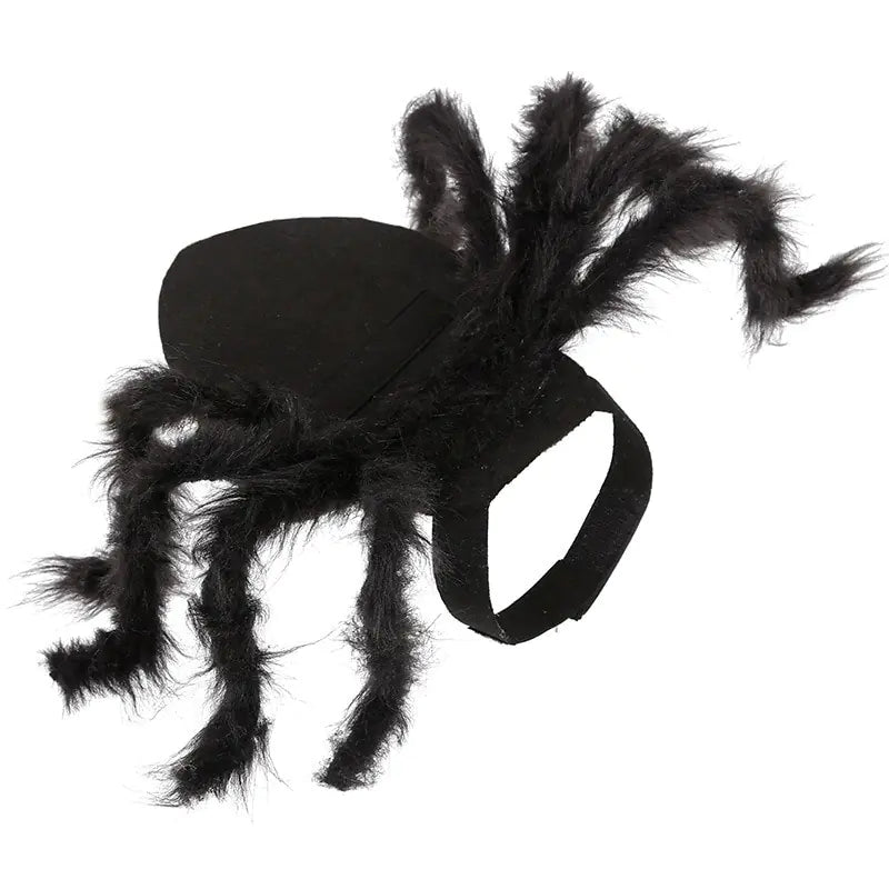 Spider Costume for Dogs - Boo!