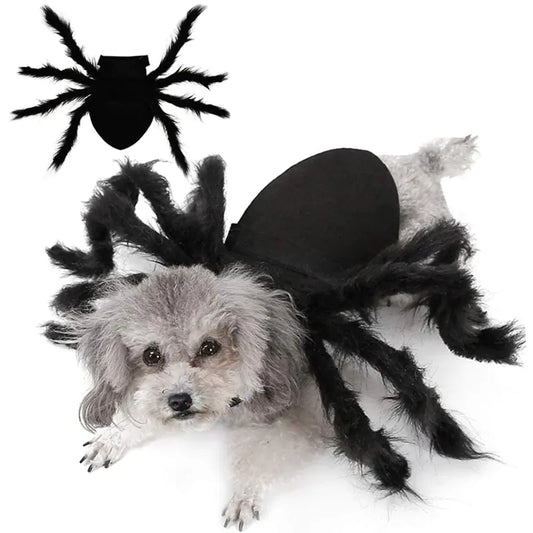 Spider Costume for Dogs - Boo!