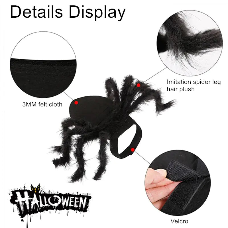 Spider Costume for Dogs - Boo!